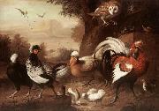 Jakob Bogdani, Fowls and Owl